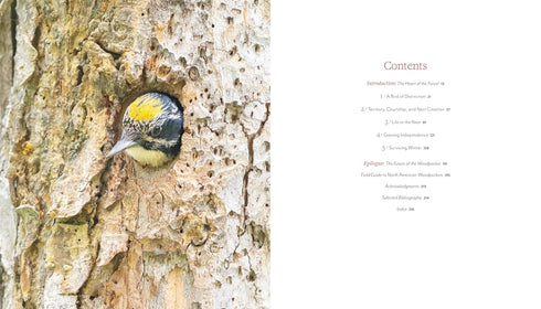 WOODPECKER: A YEAR IN THE LIFE OF NORTH AMERICAN WOODPECKERS - BANNICK. PAUL
